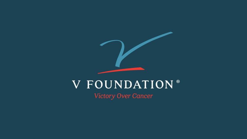 v-foundation.jpg